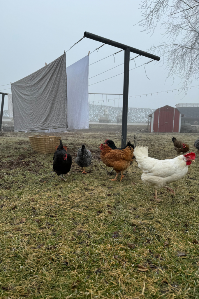 Farmhouse Backyard