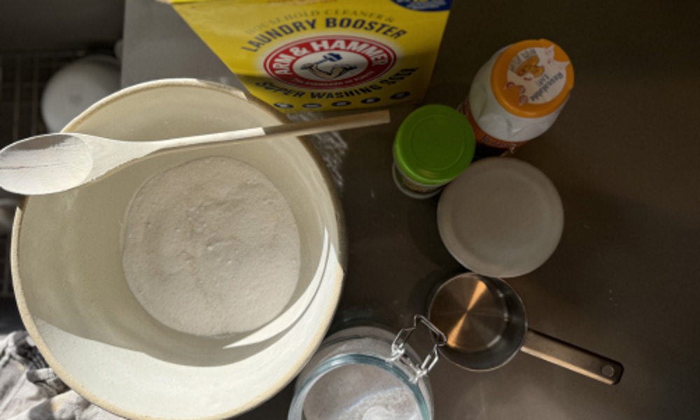 Ingredients to make homemade dish detergent