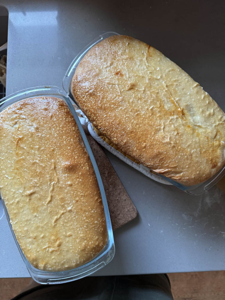 Sourdough Sandwich Loaf
