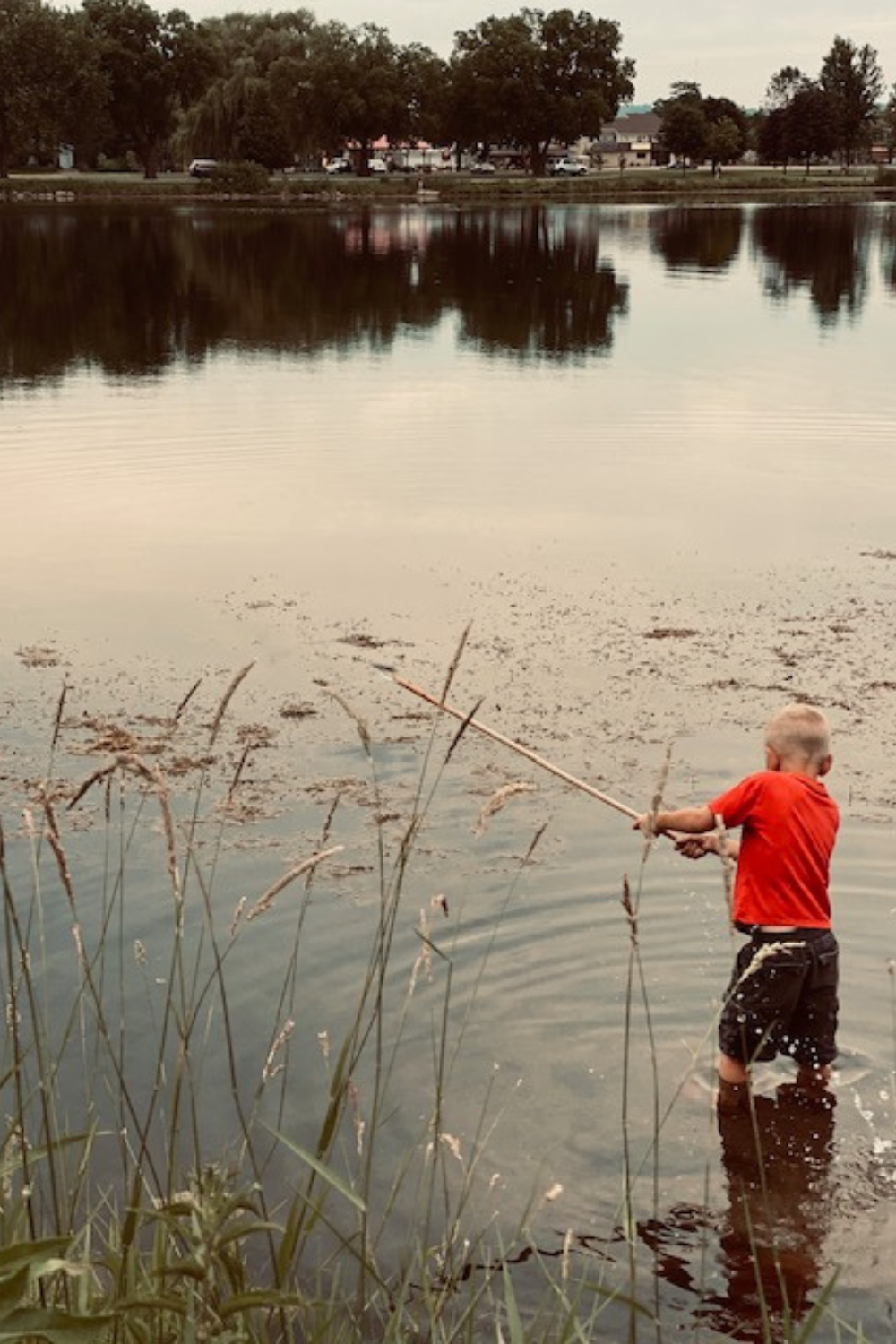 Days at the Lake