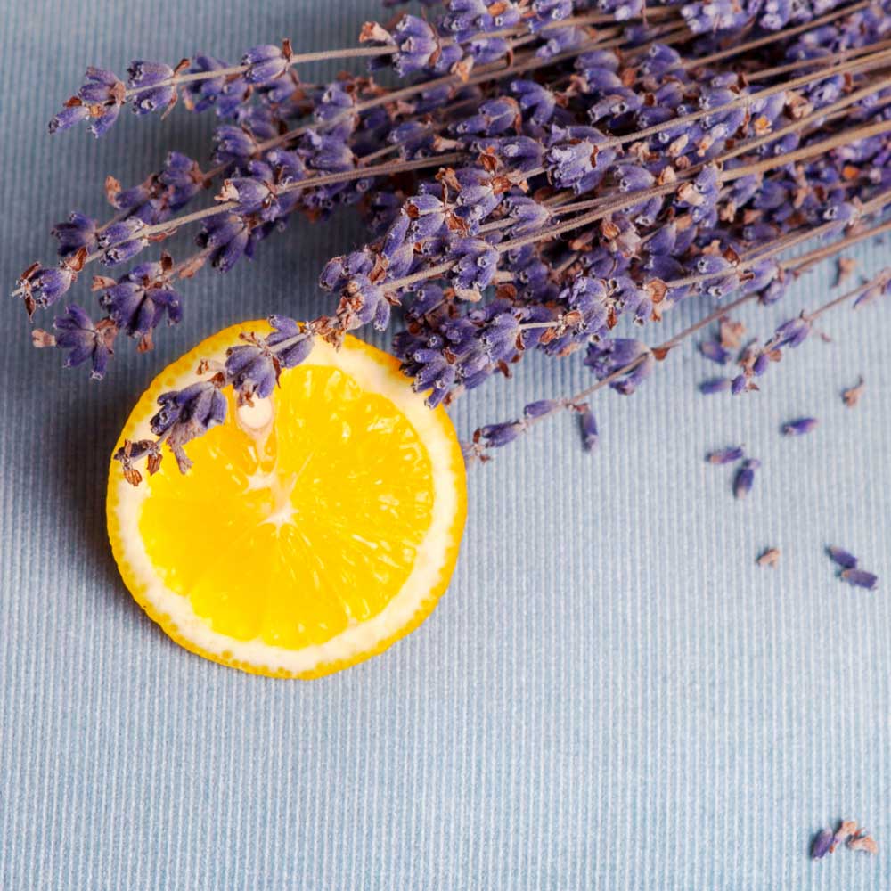 Lemon and Lavender