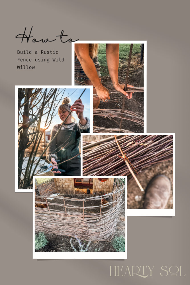 Building a Rustic Fence with Willow