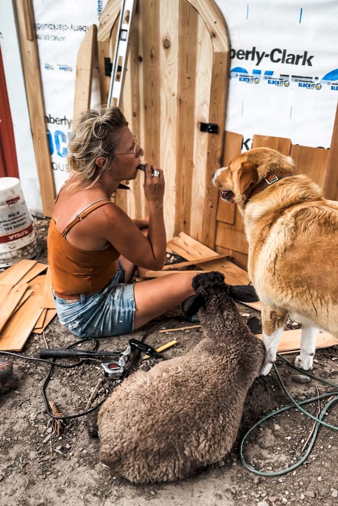 building the coop