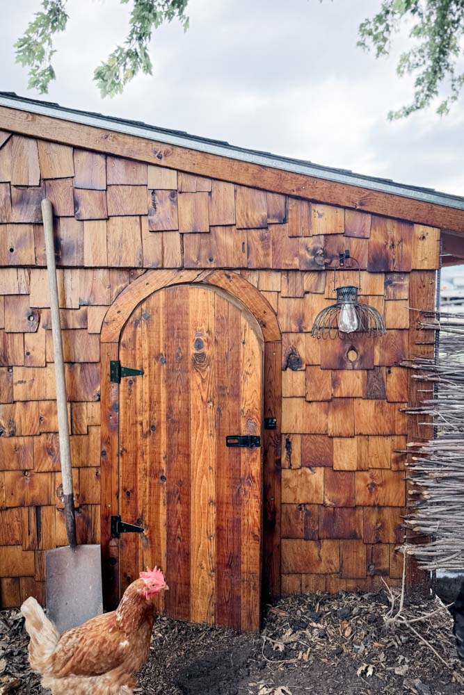 Linseed Finish on a Cedar Bird Coop