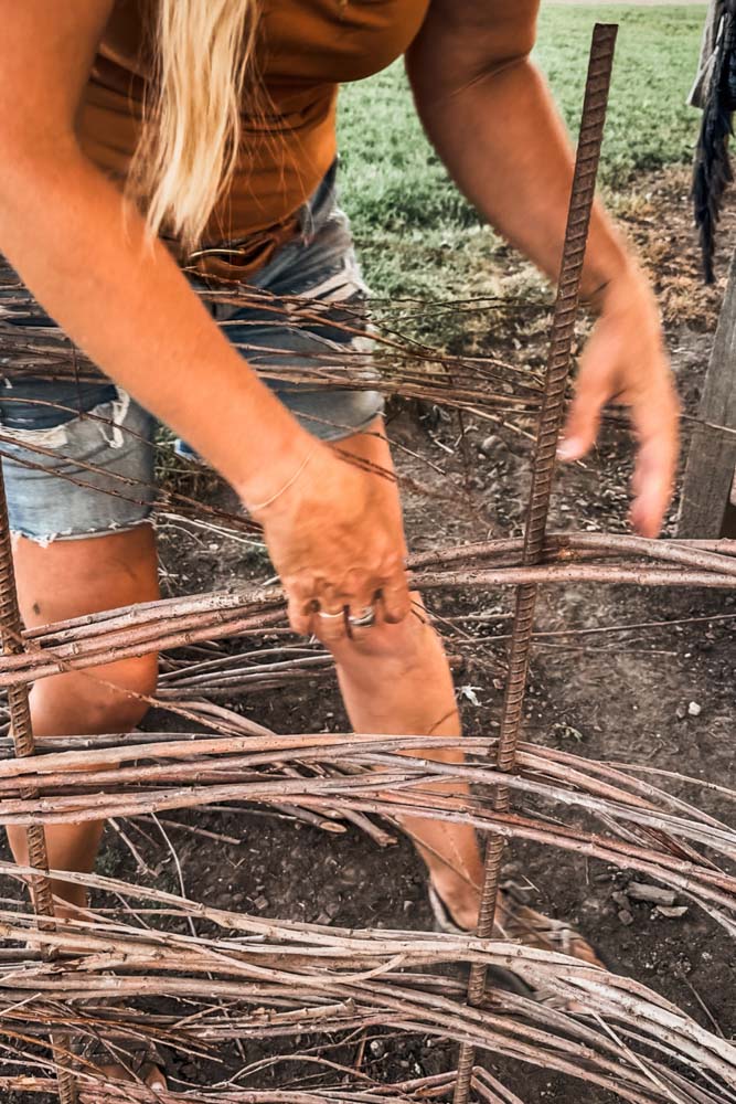 Making a Willow Fence