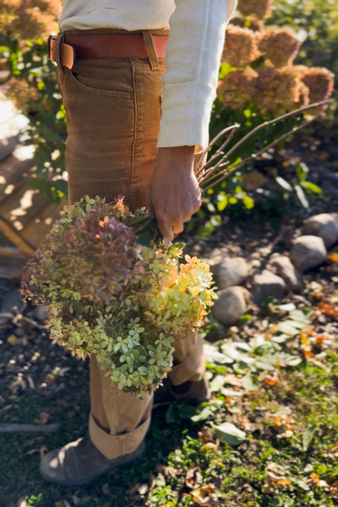 Fall Flowers