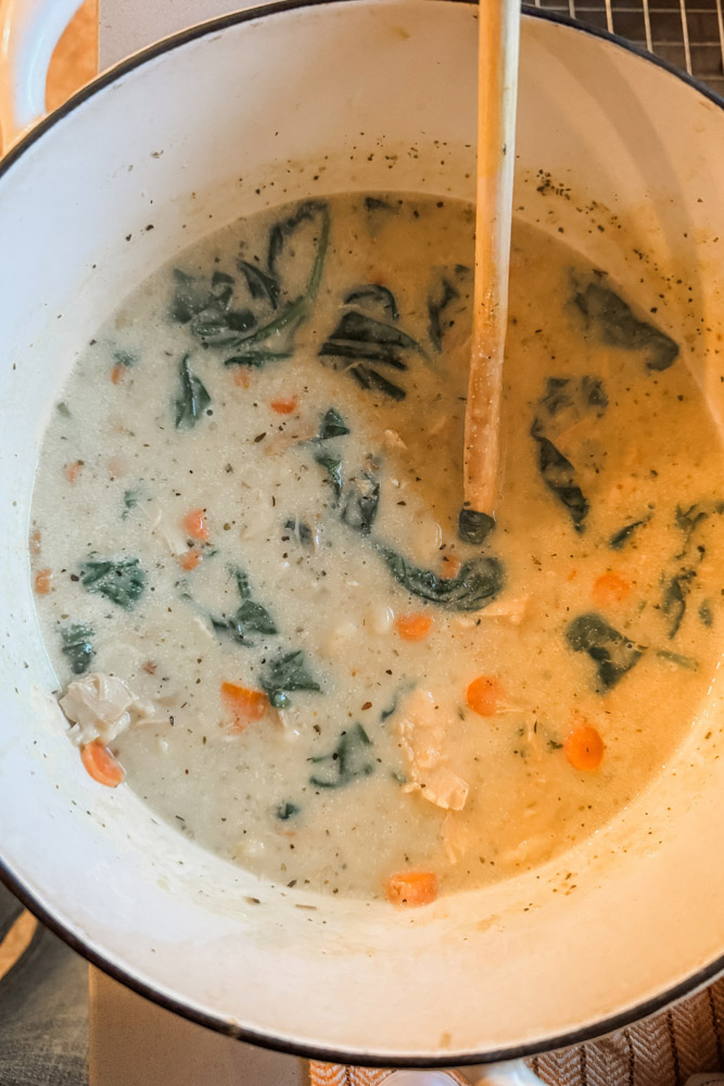 Chicken Gnocchi Soup