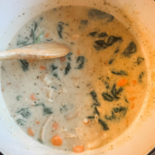 Chicken Gnocchi Soup