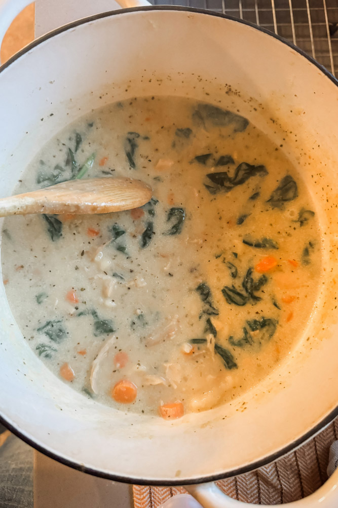 Chicken Gnocchi Soup