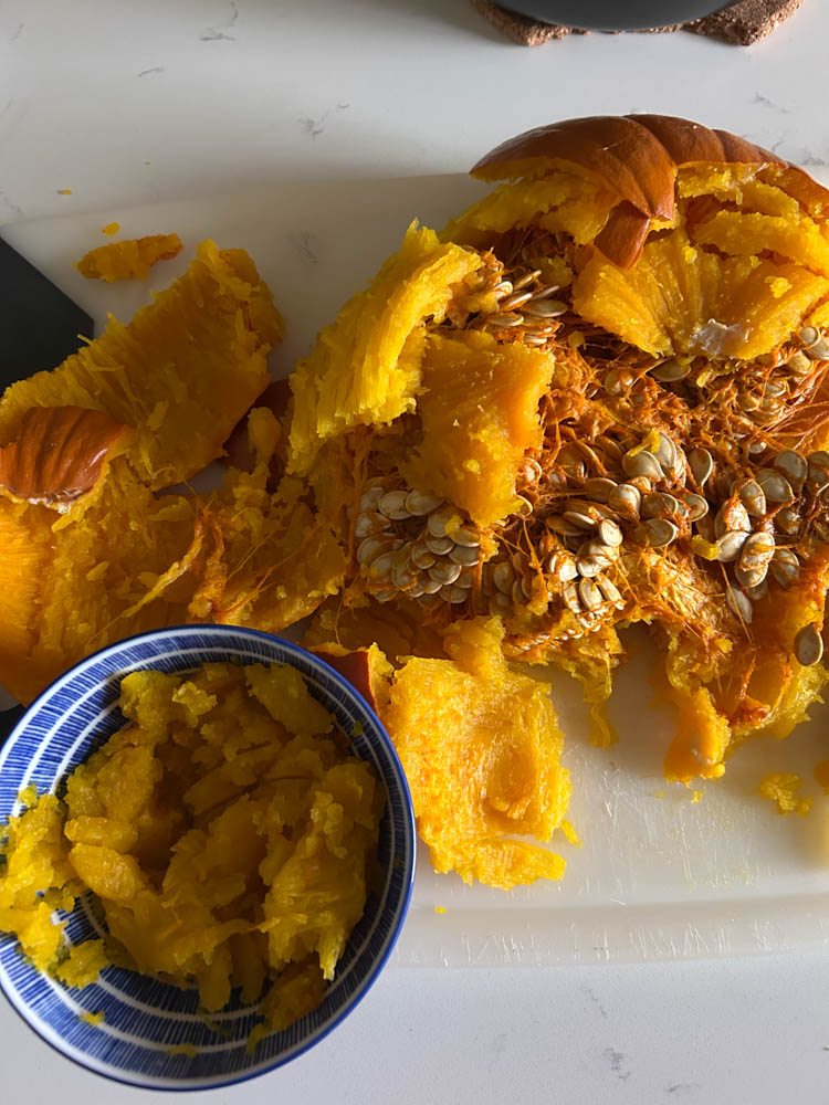 Pumpkin Pulp