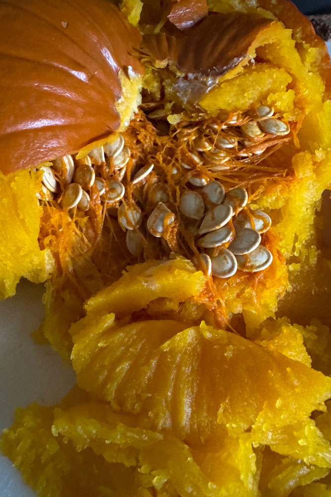 Pumpkin Pulp