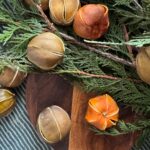 Dried Mandarin Decor