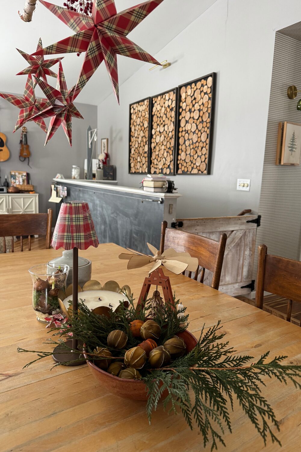 Dried Mandarin Decor