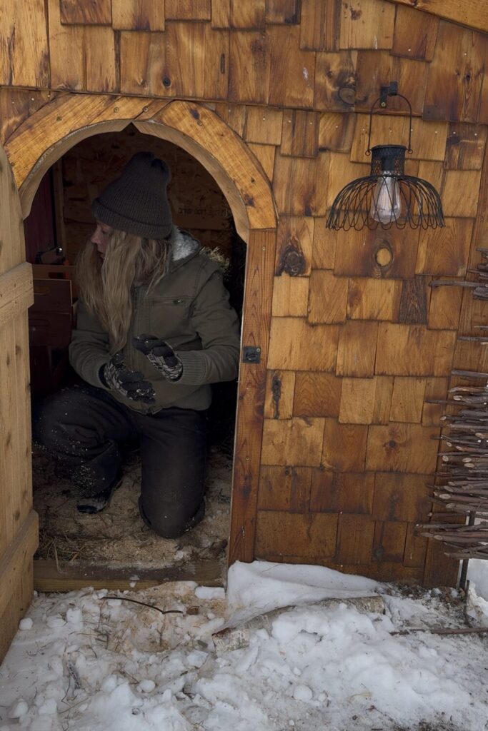 Working on the chicken coop