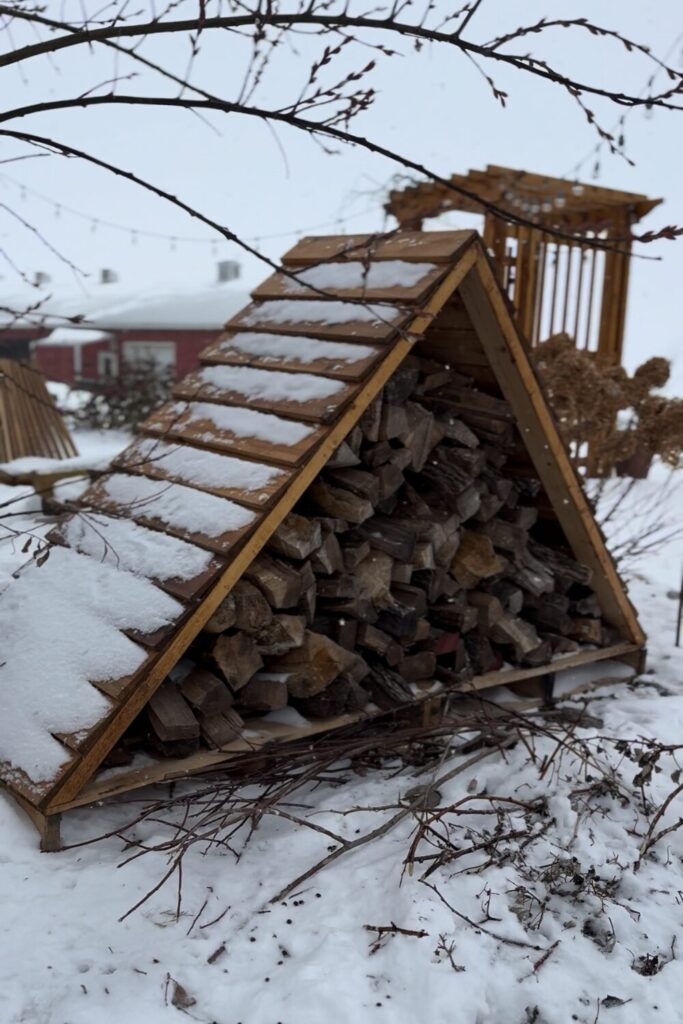 Winter Wood Pile