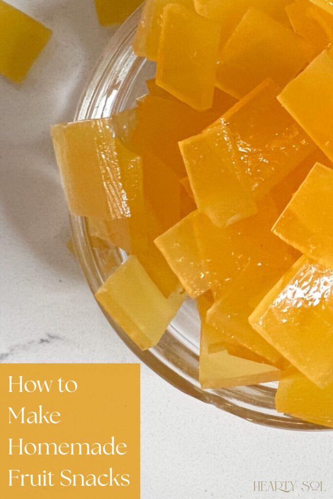 How to Make Homemade Fruit Snacks