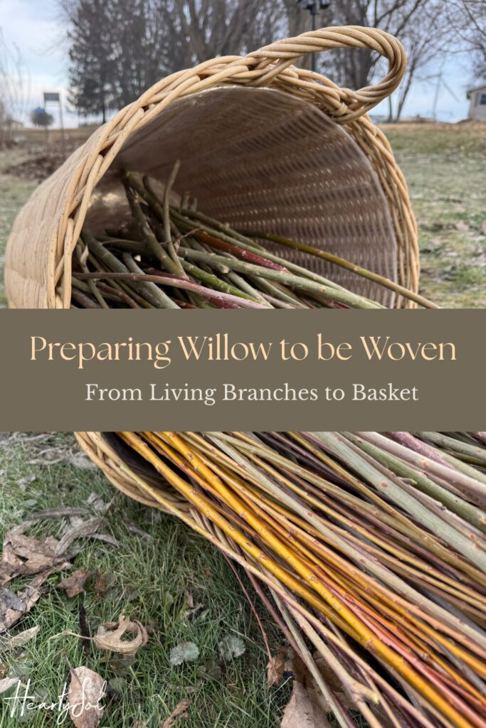 Preparing Willow to be Woven