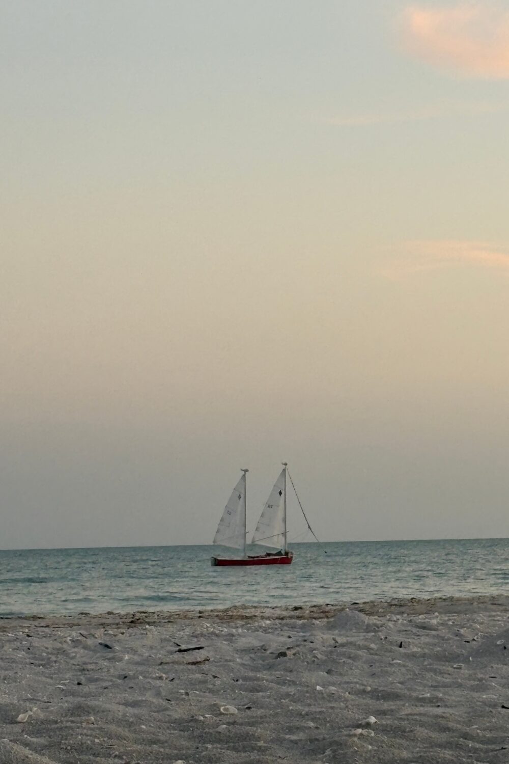 Sailboat in the ocean