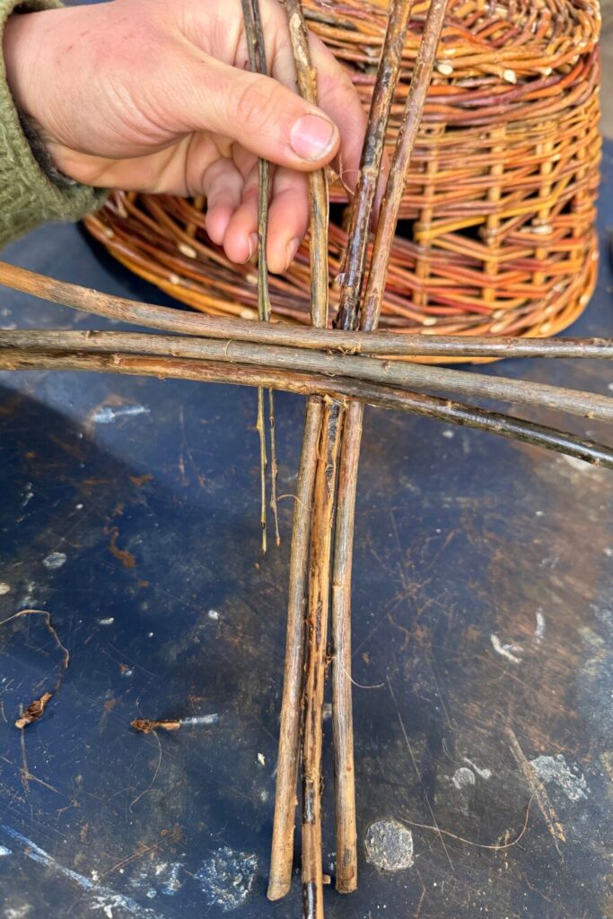 Weaving with Willow
