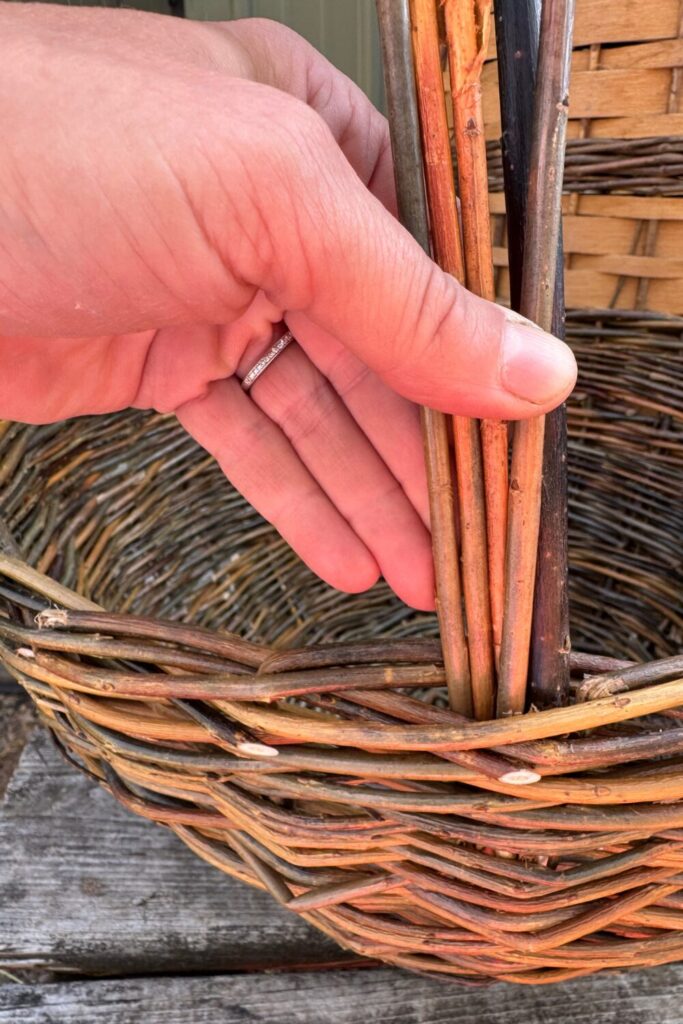 Weaving a willow basket