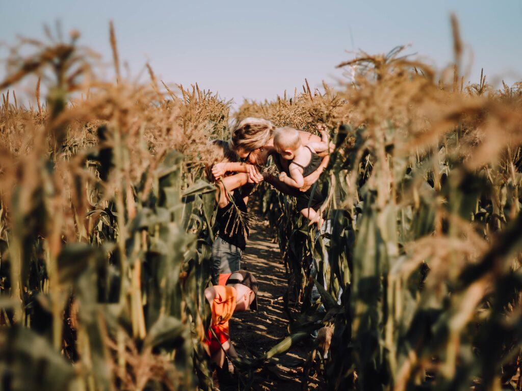 Family in a corn field