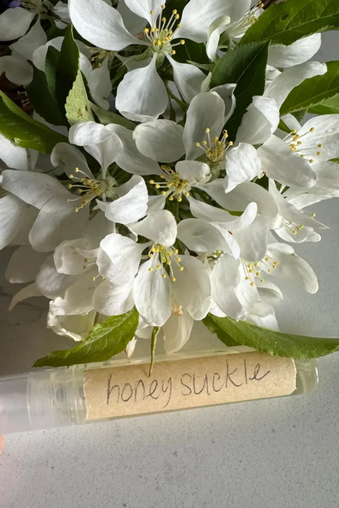 homemade honeysuckle perfume