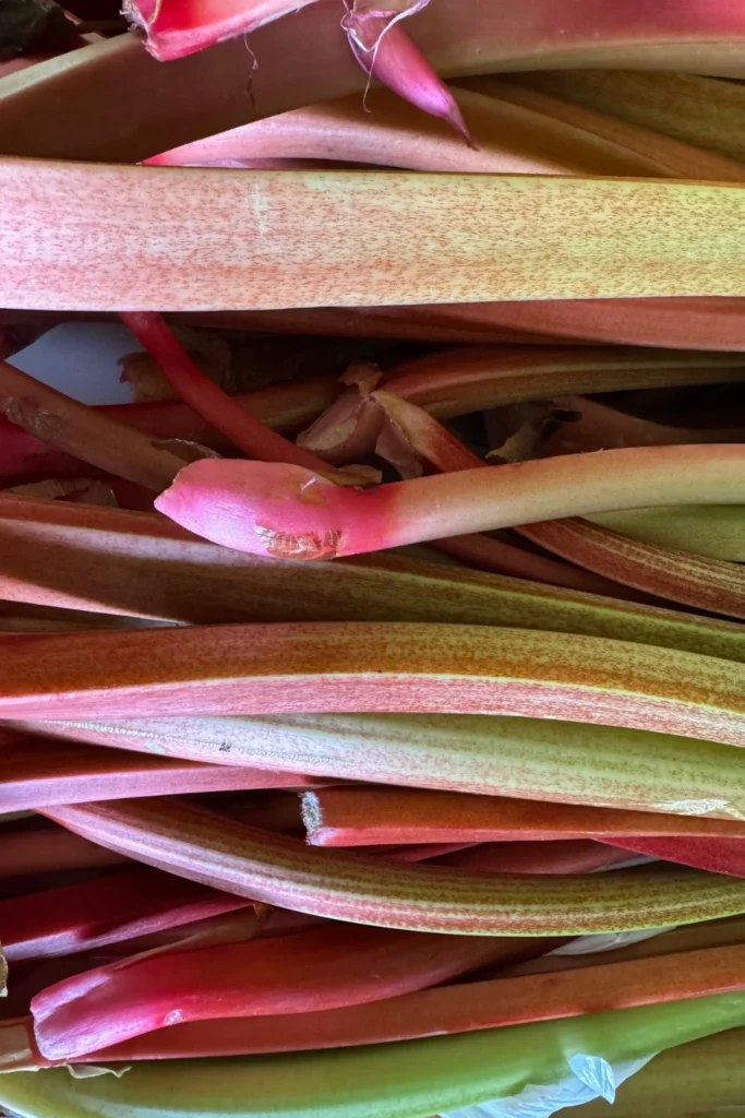 Rhubarb