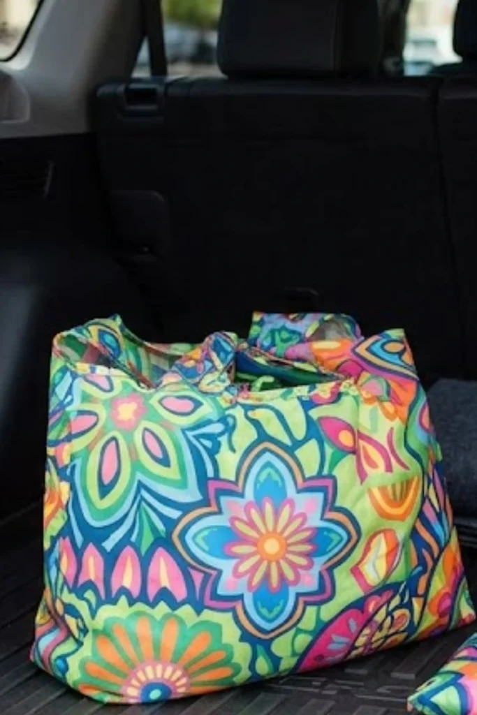 Bag in the Car