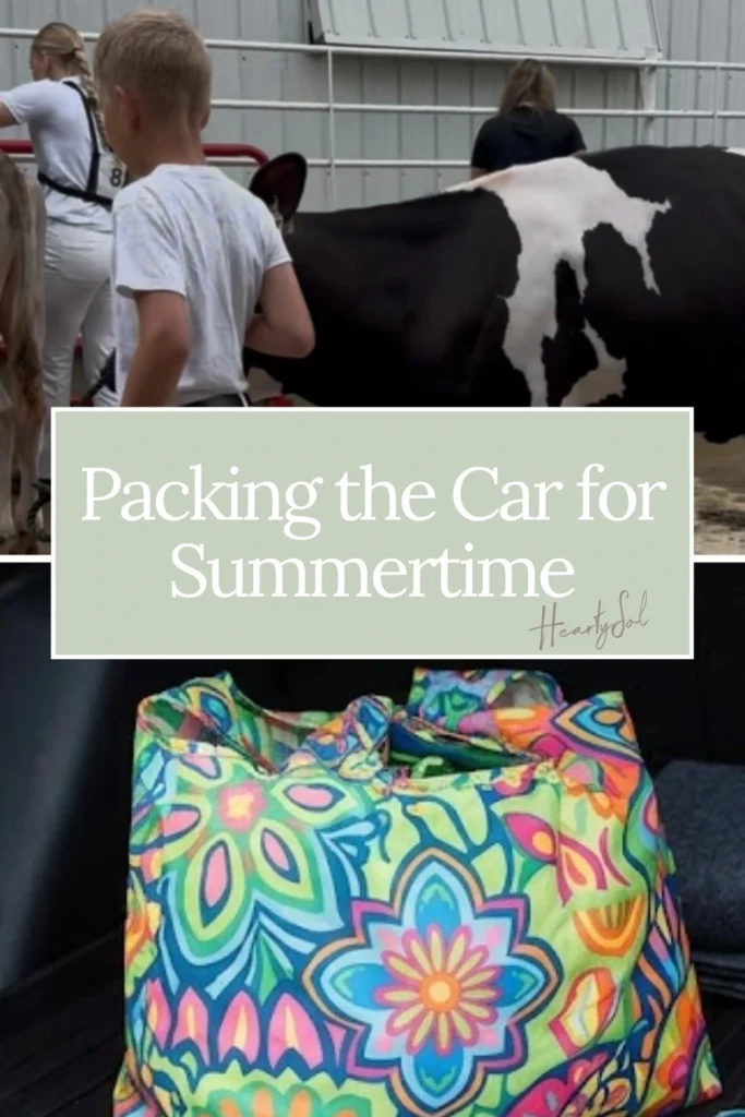Packing the car for Summer Pin