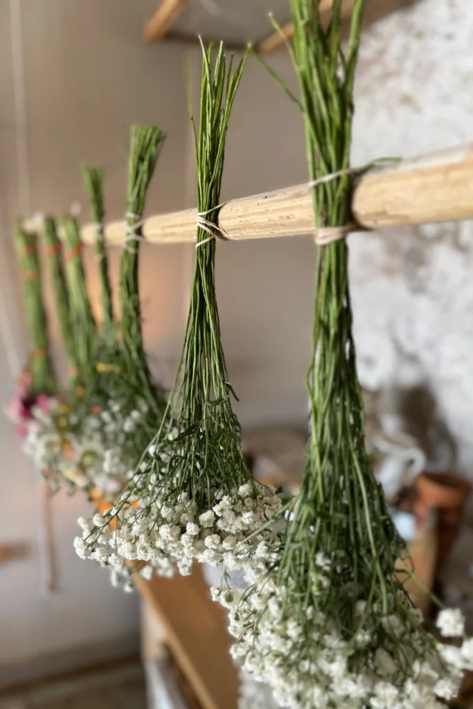 Air Drying Flowers at Home