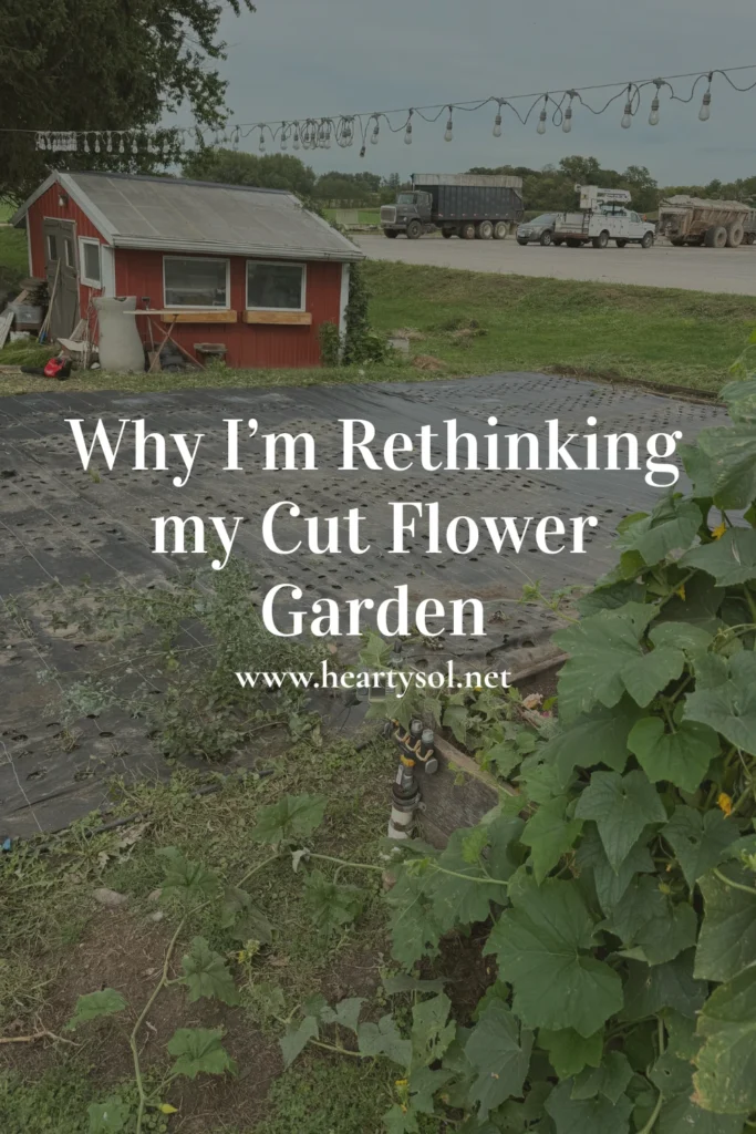 Cut Flower Garden